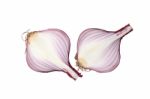 Shallots Still Life White Background Stock Photo