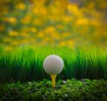 Golf Ball On Tee Stock Photo