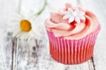 Cupcake Stock Photo