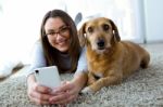 Beautiful Young Woman With Her Dog Using Mobile Phone At Home Stock Photo