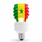 Flag Of Senegal On Bulb Stock Photo