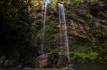 Twin Falls Waterfall Located In Springbrook National Park Stock Photo