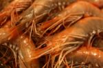 Crevettes Stock Photo