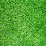 Artificial Grass Field Top View Texture Stock Photo