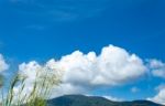 Trees And Mountains On A Bright Sky Stock Photo