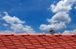 Pigeon On The Roof Stock Photo