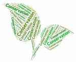 Conservation Word Represents Eco Friendly And Ecology Stock Photo