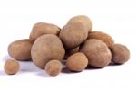 Potatoes On White Stock Photo