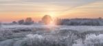 Winter Rising Sun Illuminate White Grass With Hoarfrost Stock Photo