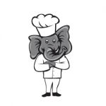 Chef Elephant Arms Crossed Standing Cartoon Stock Photo