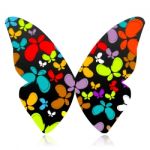 Colorful Butterfly Stock Photo