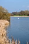 View Of Kneppmill Lake On A Sunny Spring Day Stock Photo