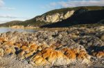 Beautiful View Of Rocky Cape, Tasmania Stock Photo