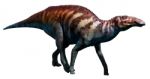 Edmontosaurus Stock Photo