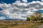 View Of Mormon Row Near Jackson Wyoming Stock Photo