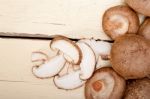 Shiitake Mushrooms Stock Photo