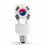 Flag Of South Korea On Bulb Stock Photo