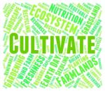 Cultivate Word Indicates Grows Farms And Cultivates Stock Photo