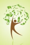 Money Tree Stock Photo