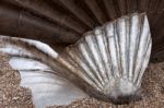 Maggi Hambling"s The Scallop 2003 Sculpture On The Beach At Alde Stock Photo