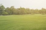 Blurred Image Of Green Park Scenery Stock Photo