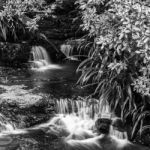 Twin Falls Waterfall Located In Springbrook National Park Stock Photo