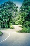 Snake Curved Road Stock Photo