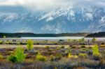 Autumn In The Grand Teton National Park Stock Photo