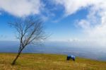 Tent Under Blue Sky Stock Photo