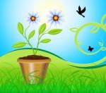 Potted Plant Means Flower And Gardening 3d Illustration Stock Photo