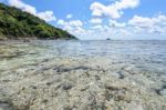 Shore Coral Reef At Similan Islands In Thailand Stock Photo