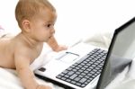 Baby Looking Laptop Stock Photo