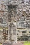 Carved Stones At The  Mayan Ruins In Copan Ruinas, Honduras Stock Photo