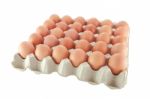 Egg In Carton Stock Photo