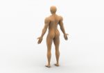 Male Body Stock Photo