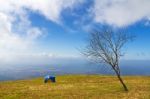 Tent Camping Stock Photo