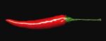 Red Chili Pepper Stock Photo