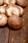 Shiitake Mushrooms Stock Photo