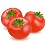 Tomato Stock Photo