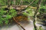 Knyvet Falls In Cradle Mountain Stock Photo