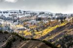 Autumn Colours In Wyoming Stock Photo