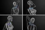 3d Rendering Medical Illustration Of The Clavicle Bone Stock Photo