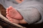 A Baby's Feet Stock Photo