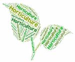 Horticulture Word Represents Flower Garden And Agricultural Stock Photo