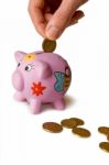 Piggy Bank Stock Photo