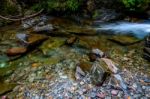 Coloured Stones In Holland Creek Stock Photo