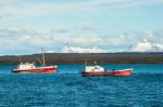 Strait Of Magellan, Puerto Natales, Patagonia, Chile Stock Photo