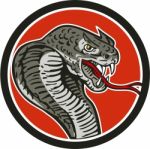 Cobra Viper Snake Circle Retro Stock Photo