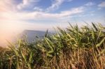 Grass With Mountains In The Winter Stock Photo