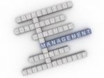 3d Image Management  Issues Concept Word Cloud Background Stock Photo